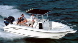 2009 - Angler Boats - 2500CC