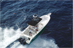 2011 - Angler Boats - 2900CC