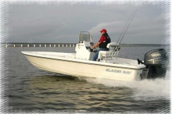 2017 - Blazer Boats - 2420 Professional