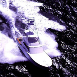 2012 - Buddy Davis Boats - 58 Sportfih