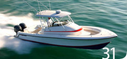 2011 - Contender Boats - 31 Fish Around