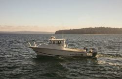 2015 - Defiance Boats - Admiral 250