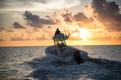 2019 - Everglades Boats - 243cc