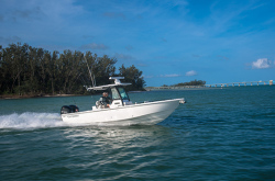 2019 - Everglades Boats - 273 CC