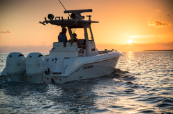 2019 - Everglades Boats - 255CC