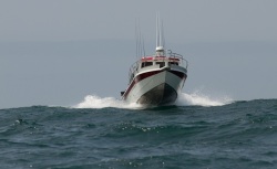 2014 - Kingfisher Boats - 3025 Offshore