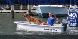 2013 - Livingston Boats - LV8