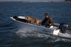 2015 - Livingston Boats - LV12