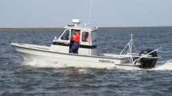 2019 - Maritime Boats - 25 Voyager