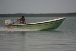 Panga Boats - Panga 14LX 2008