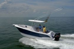 2011 - Pro-Line Boats - 29 Grand Sport
