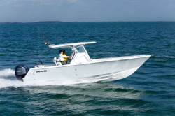 2016 - Release Boats - 301 RX