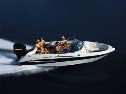 2011 - Sea Ray Boats - 185 Outboard Sport