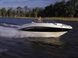 Sea Ray Boats 210 Bow Rider Select Bowrider Boat