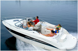 2009 - Stingray Boats - 250CR
