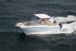 2016 - World Cat Boats - 255 DC Dual Console