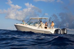 2016 - World Cat Boats - 295 DC Dual Console