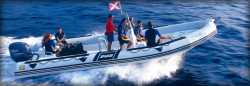 2012 - Zodiac Boats - Pro 550