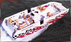 2013 - Advantage Boats - 28- Party Cat XL