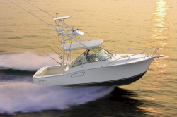 2014 - Albemarle Boats - 310  XF
