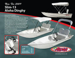 2010 - Aloha Pontoon Boats - Slim-13 Aloha Dinghy