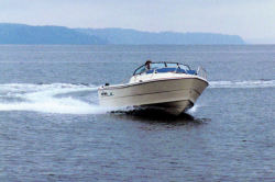 2010 - Arima Boats - Sea Chaser 17 Fish On