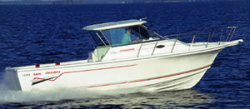Baha Cruiser Boats 299 Sport Fisherman Cuddy Cabin Boat