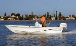 2010 - Blue Wave Boats - 2200 Pure Bay