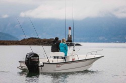 2019 - Boston Whaler Boats - 190 Montauk