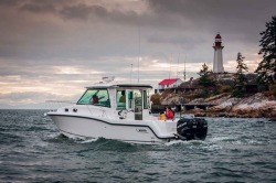 2019 - Boston Whaler Boats - 315 Conquest Pilothouse