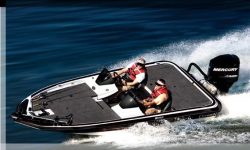2010 - Champion Boats - 183 CX