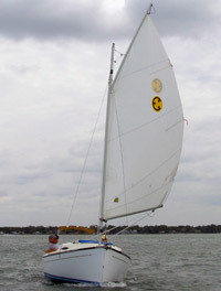 l_sunday-cat-sailing-1