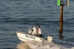 2009 - Dusky Boats - 17 Open