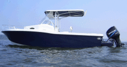 2012 - Dusky Boats - 252 FAC