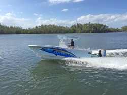 2017 - Dusky Boats - 252T