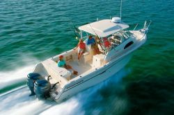2009 - Grady-White Boats - Marlin 300