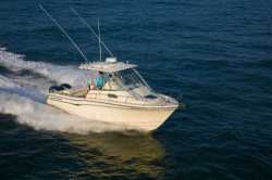2012 - Grady-White Boats - Chesapeake 290