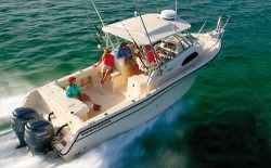 Grady-White Boats - 300 Marlin
