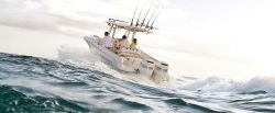 2013 - Hydra Sports Boats - 2500 Vector CC