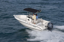 2012 - Pursuit Boats - C200 CC