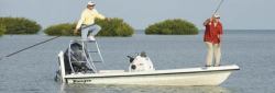 2009 - Ranger Boats AR - 173 Ghost