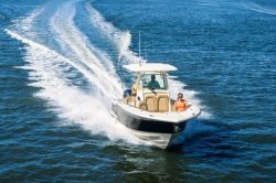 2019 - Scout Boats - 255 LXF