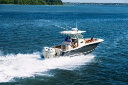 2019 - Scout Boats - 275 LXF