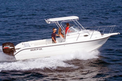 Sea Fox 25 WA Sport Walkaround Boat