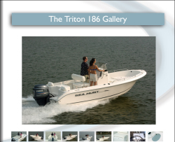Sea Hunt Boats Triton 186 Center Console Boat