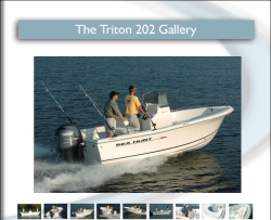 Sea Hunt Boats Triton 202 Center Console Boat