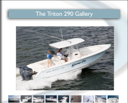 Sea Hunt Boats Triton 290 Center Console Boat