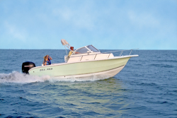 Sea-Pro Boats 206 WA Walkaround Boat