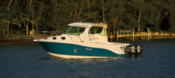 2010  - Seaswirl Boats - 2901 Walk Around Dual Engine OB