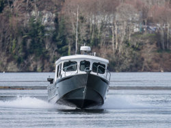 2019 - Silver Streak Boats - 26 Swiftsure Cuddy Cabin